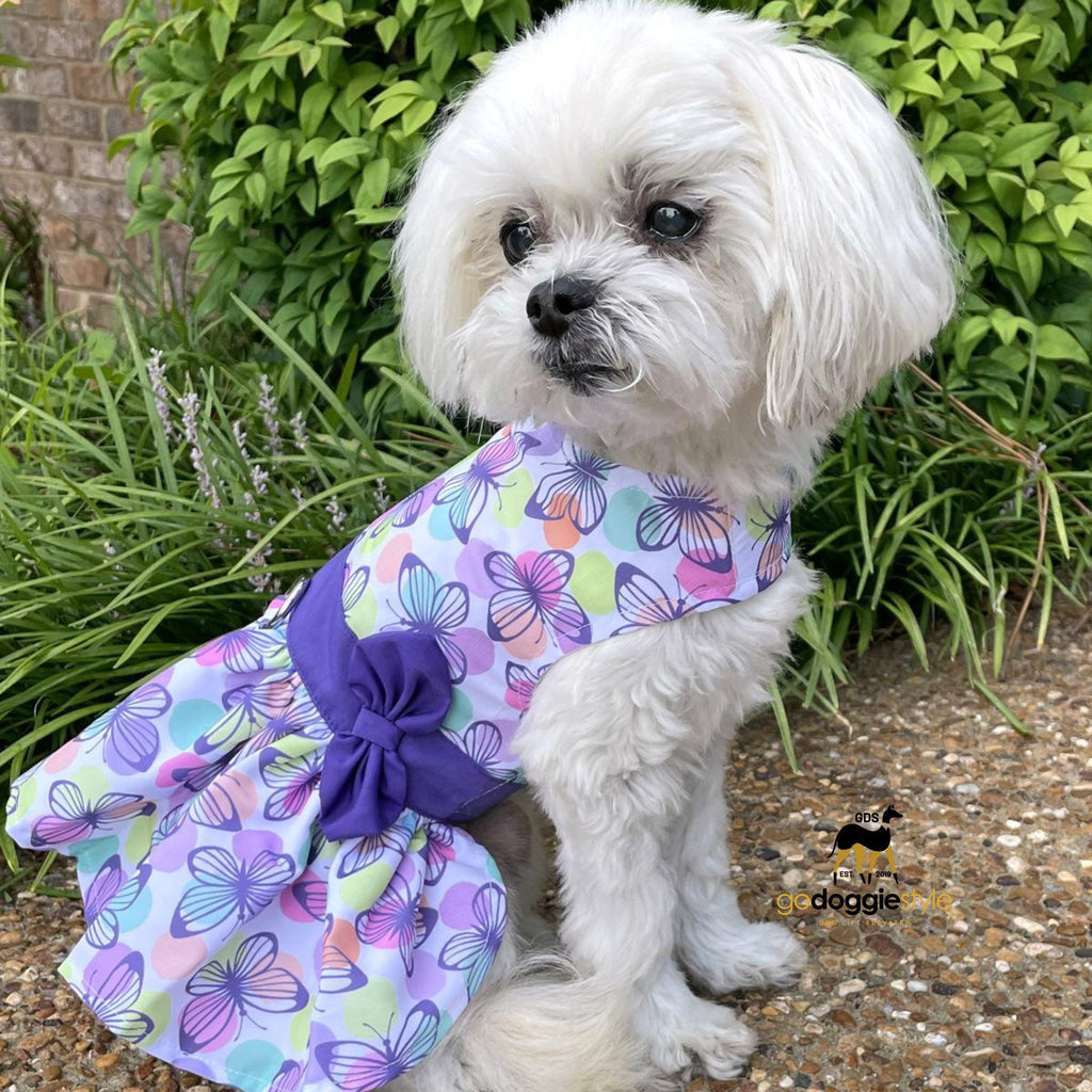 Outfit Boy Easter Dog Apparel Easter Dog Dress Eggstra Cute