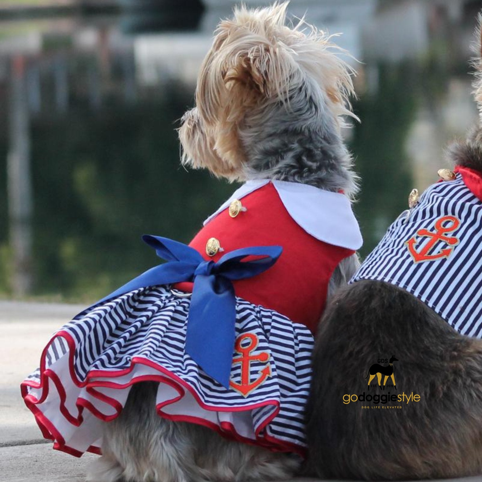 Sailor Girl Dress with Matching Leash-godoggiestyle