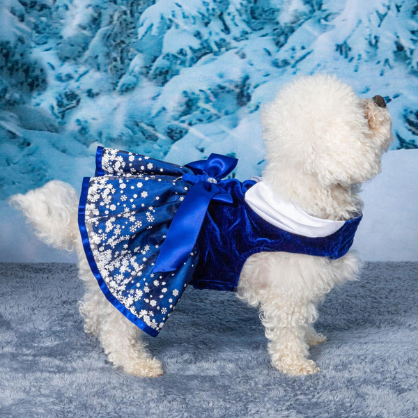 Snowflakes Holiday Dog Harness Dress with Leash – godoggiestyle