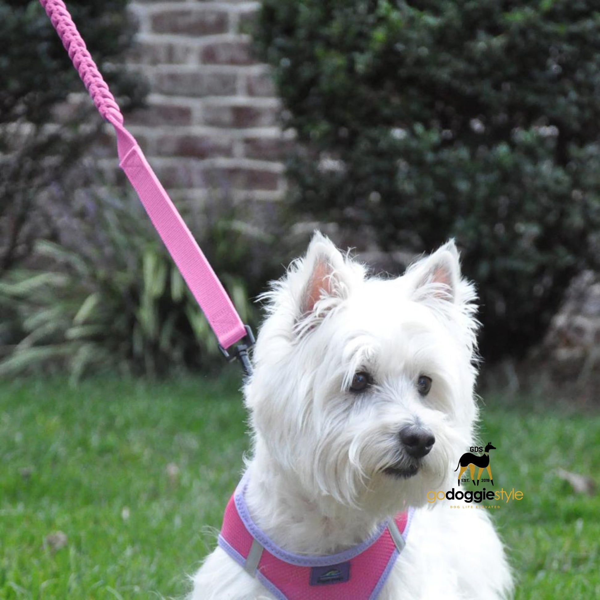 Soft Pull Heavy Duty Dog Leash With Traffic Control Soft Grip Handle-Candy Pink-4 Feet Long With 6 Inch Stretch-Non-Fray Industrial Grade Design-godoggiestyle