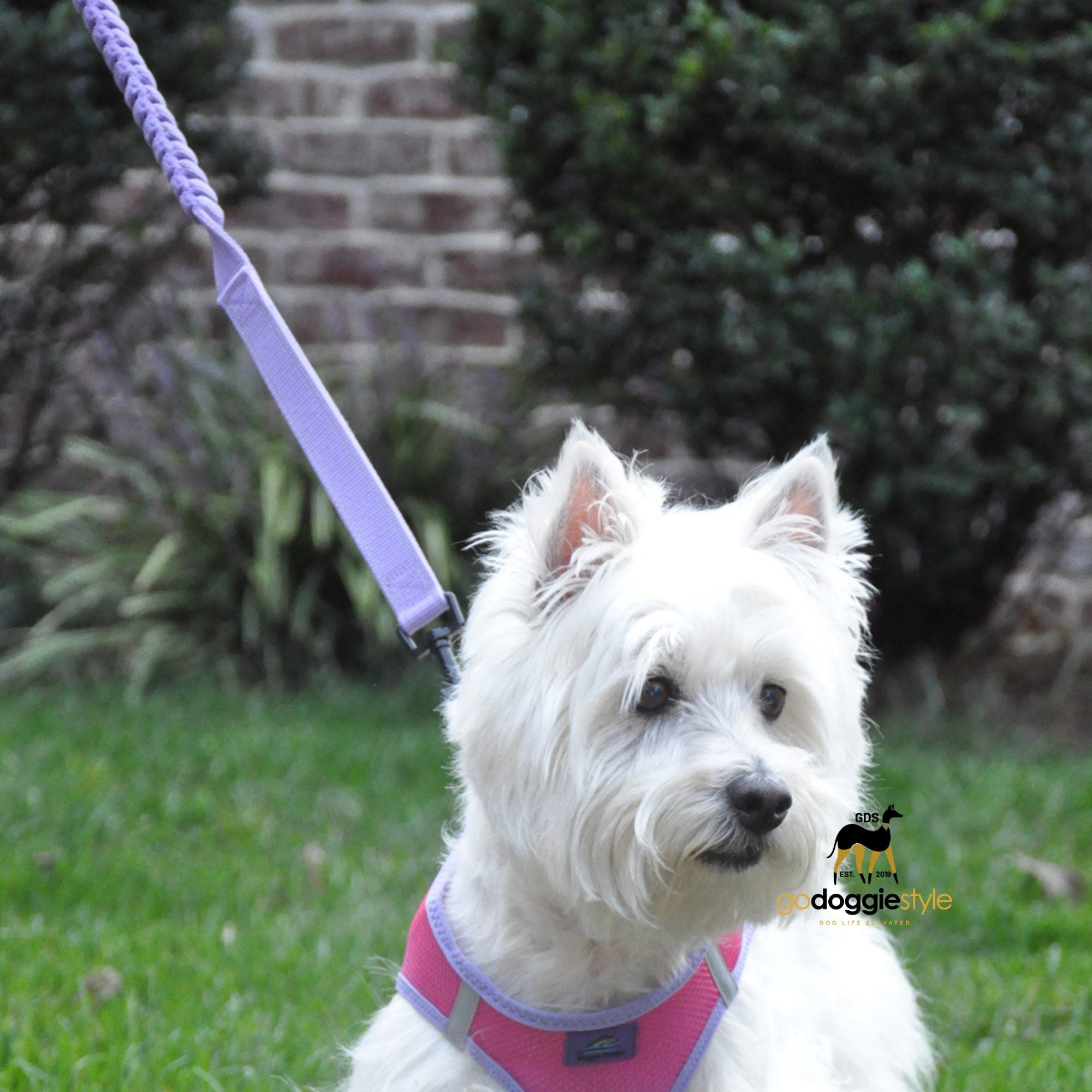 Soft Pull Heavy Duty Dog Leash With Traffic Control Soft Grip Handle-Paisley Purple-4 Feet Long With 6 Inch Stretch-Non-Fray Industrial Grade Design-godoggiestyle