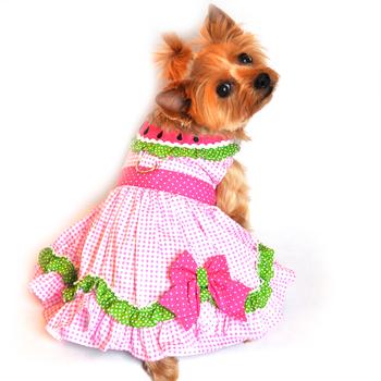 Watermelon Dog Dress with Matching Leash - godoggiestyle