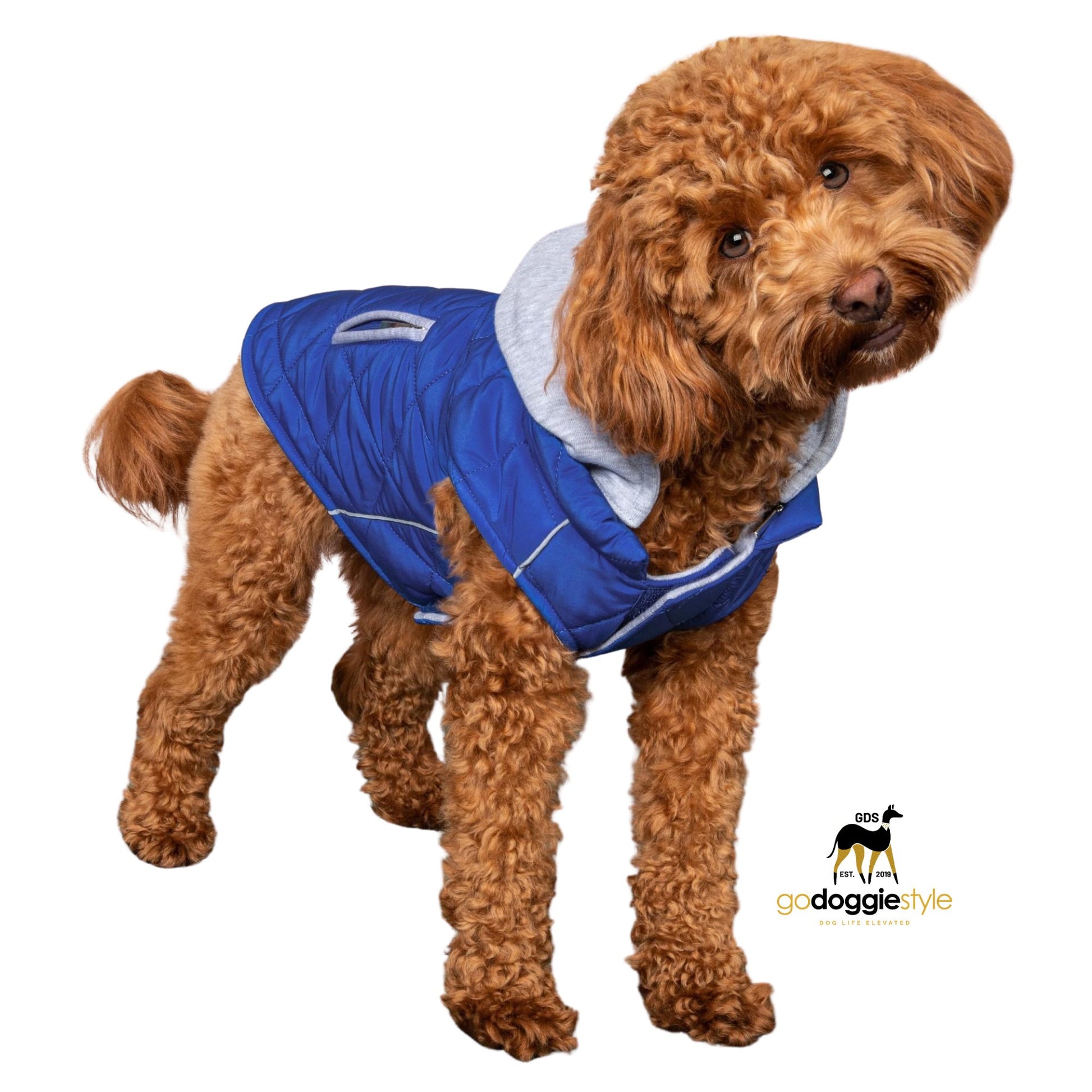 Weekender Dog Quilted Puffer Sweatshirt Hoodie Jacket Vest - Royal Blue - Reflective Hoodie - Zip Up Coat with Pockets - Soft Warm Jersey Lining - XS to XL - godoggiestyle