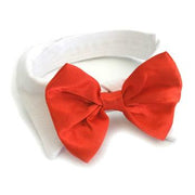 White Collar with Red Satin Bow Tie - godoggiestyle